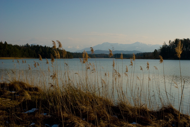 Osterssen, bei Iffeldorf