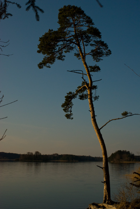 Osterssen, bei Iffeldorf