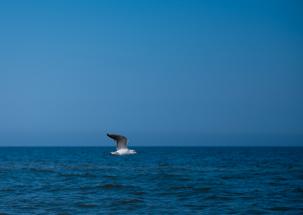 ostseeblau4