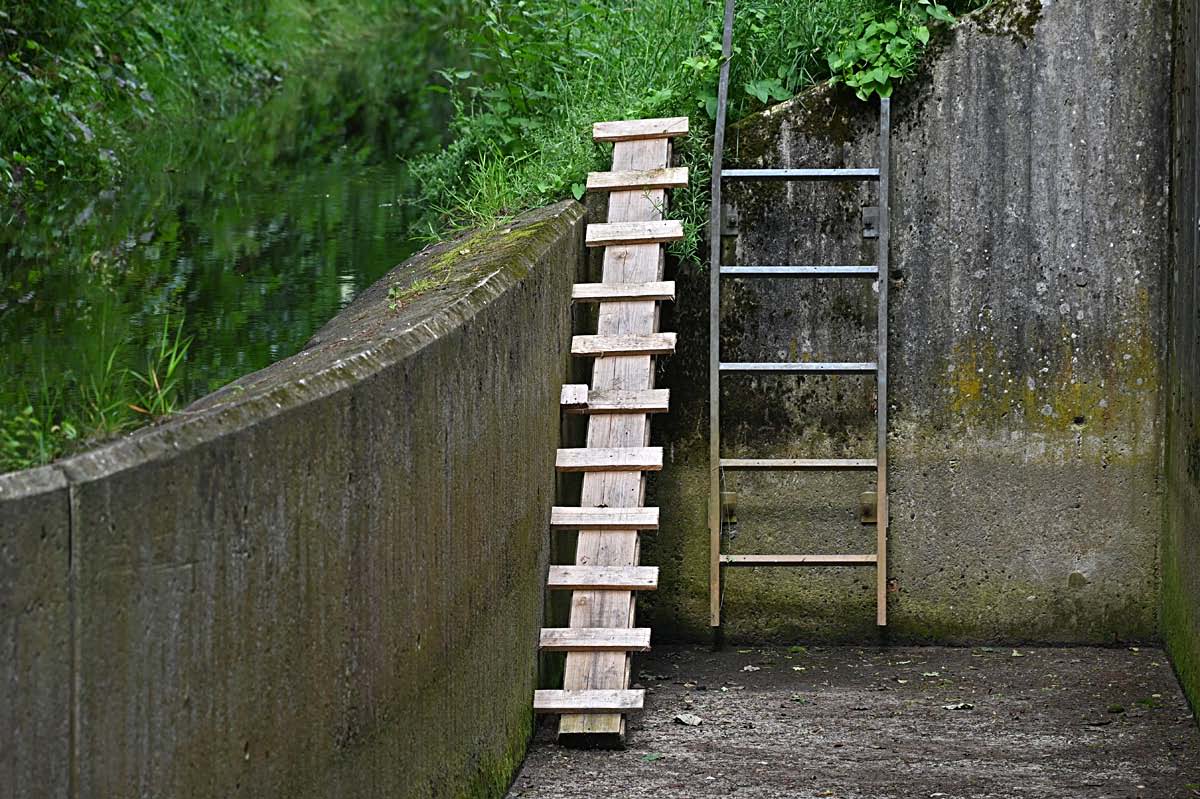 Ottertreppe.jpg