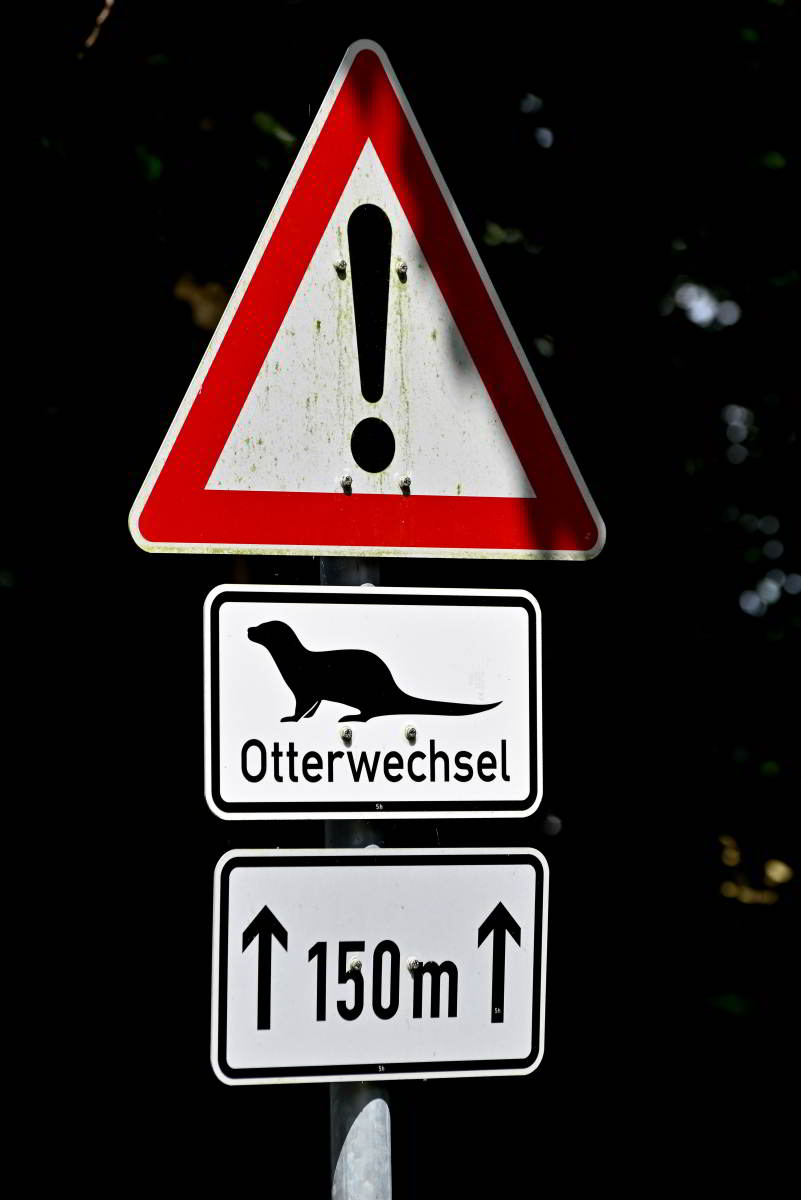 Otterwechsel.JPG