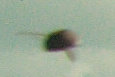 P1000061