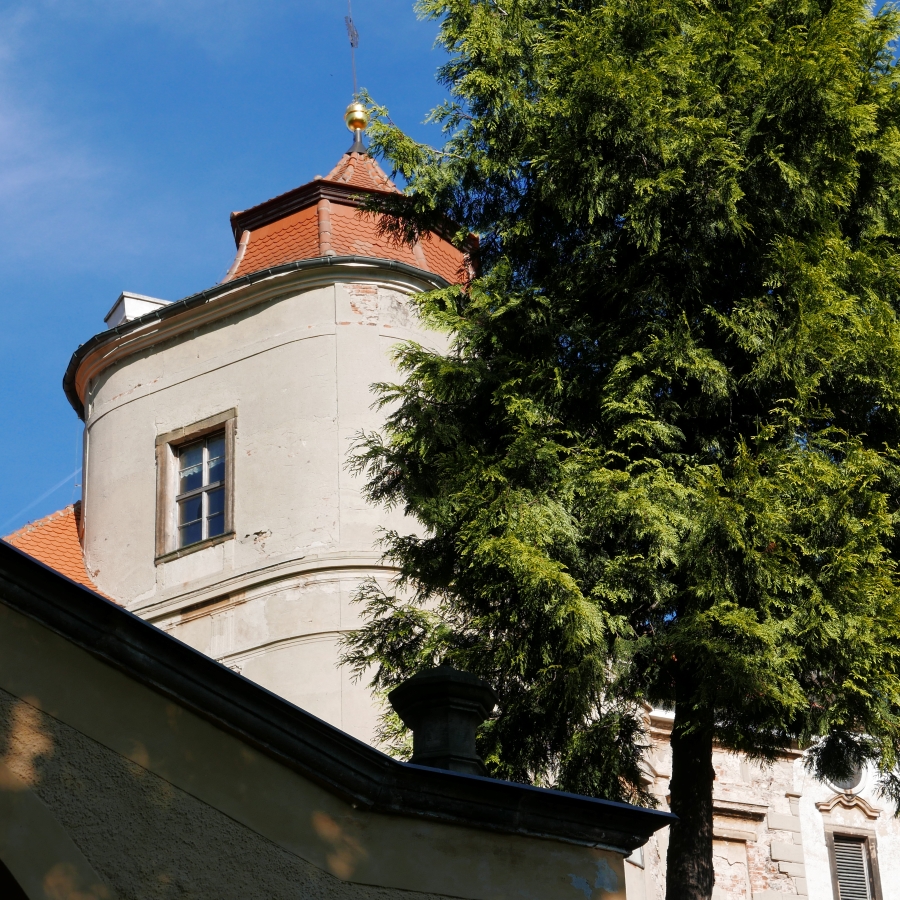 P1000296n.jpg