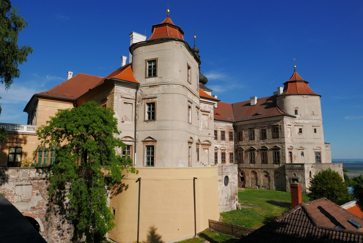 P1000346n.jpg