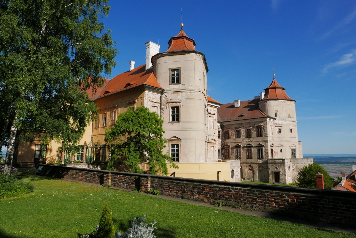 P1000353n.jpg