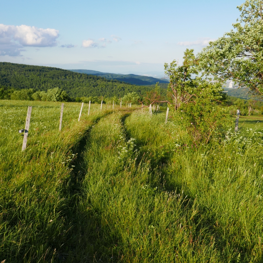P1000480n.jpg
