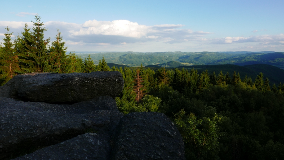 P1000498n.jpg