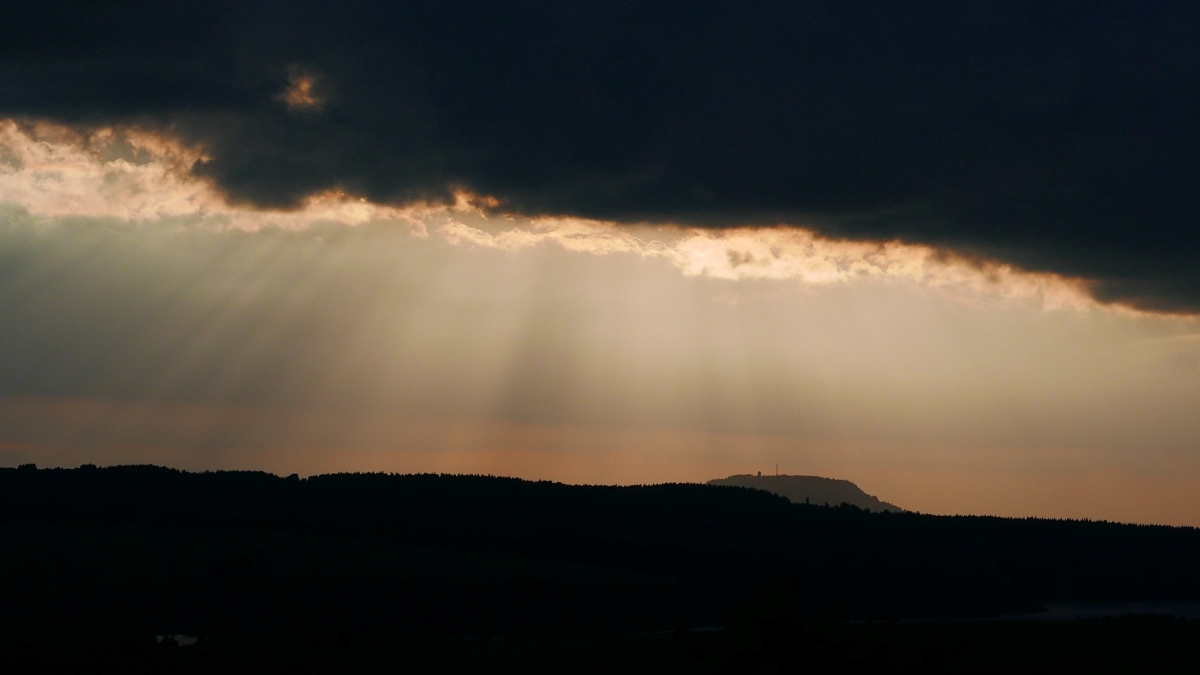 P1000508n.jpg