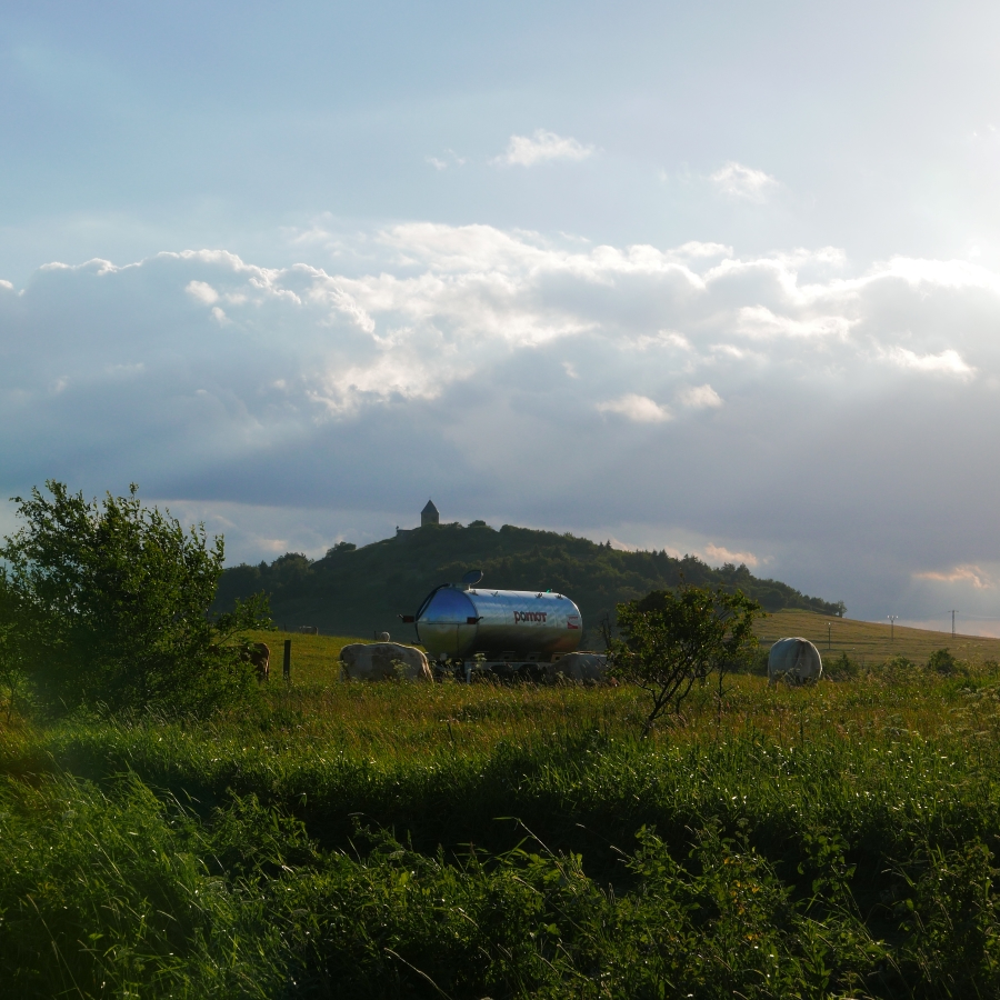 P1000517n.jpg