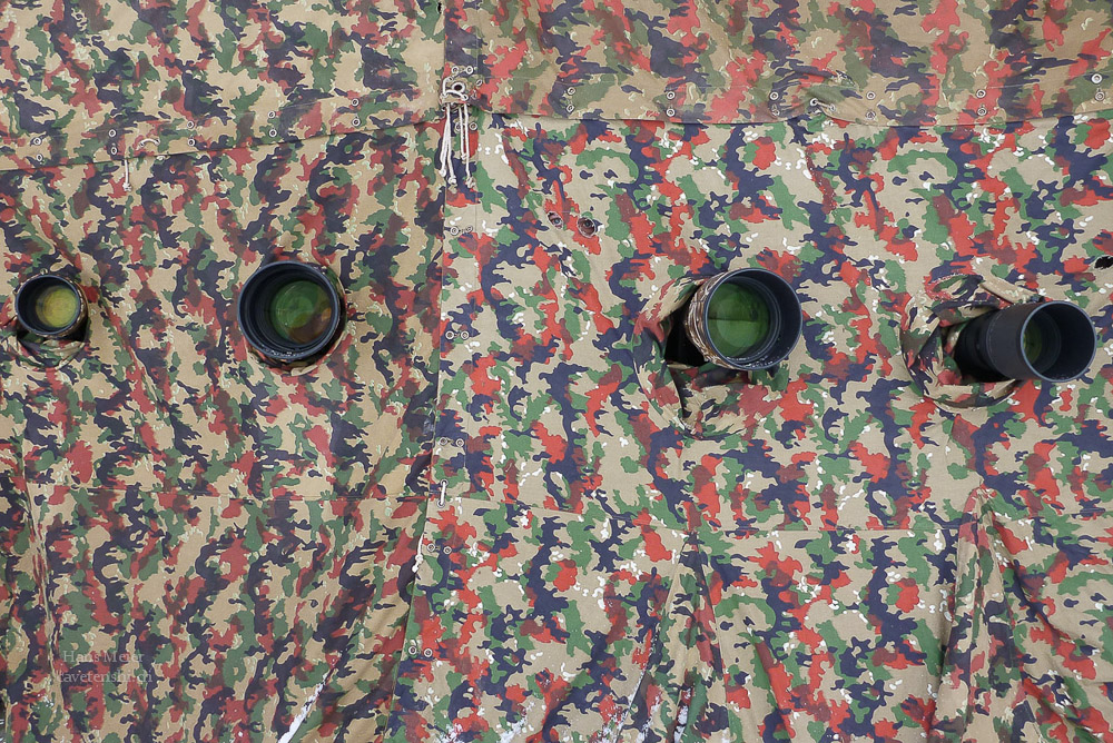 P1000727