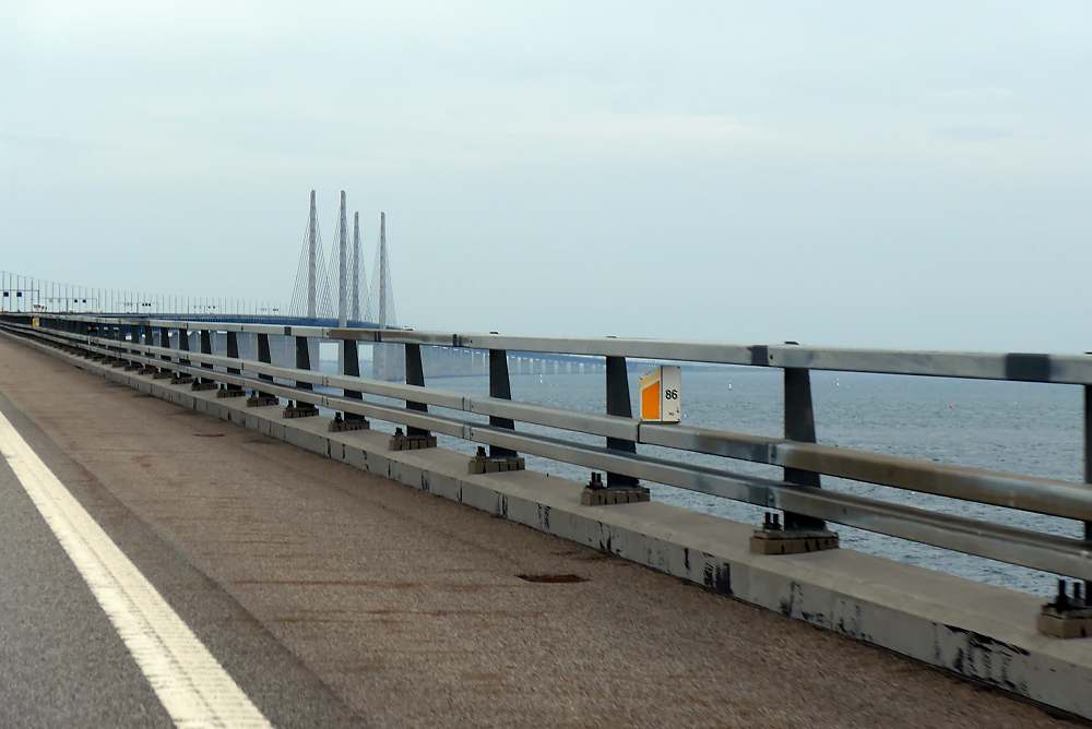 P1000826.jpg
