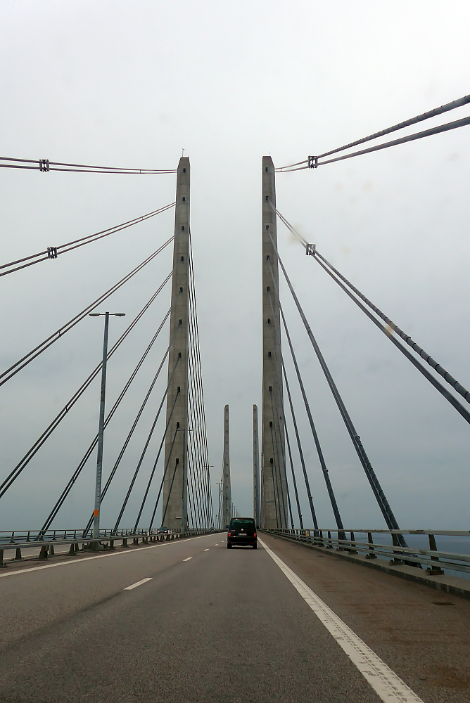 P1000828.jpg