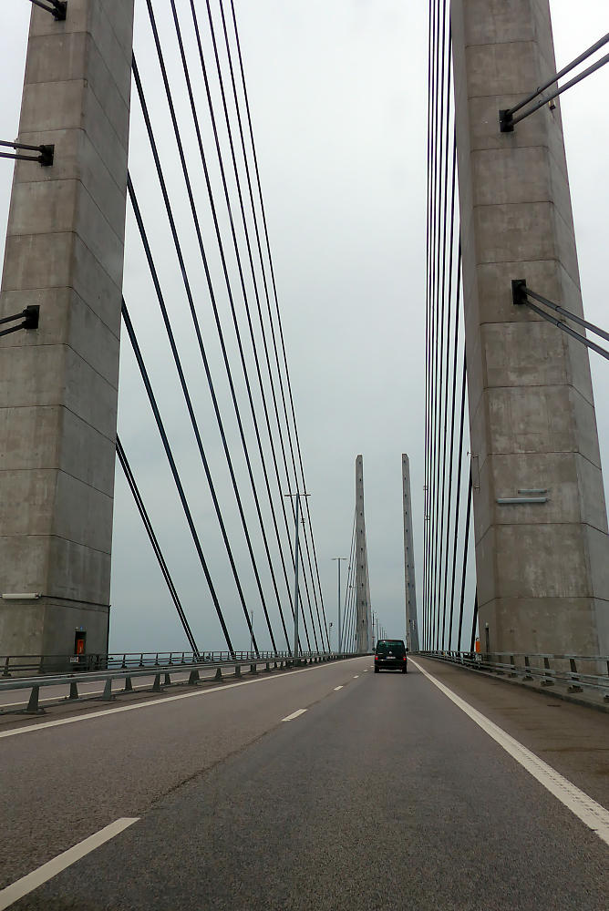 P1000829.jpg