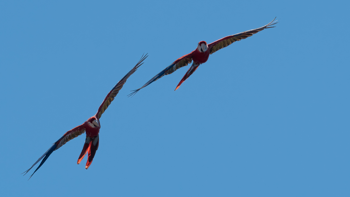 P1004749-Bearbeitet.jpg