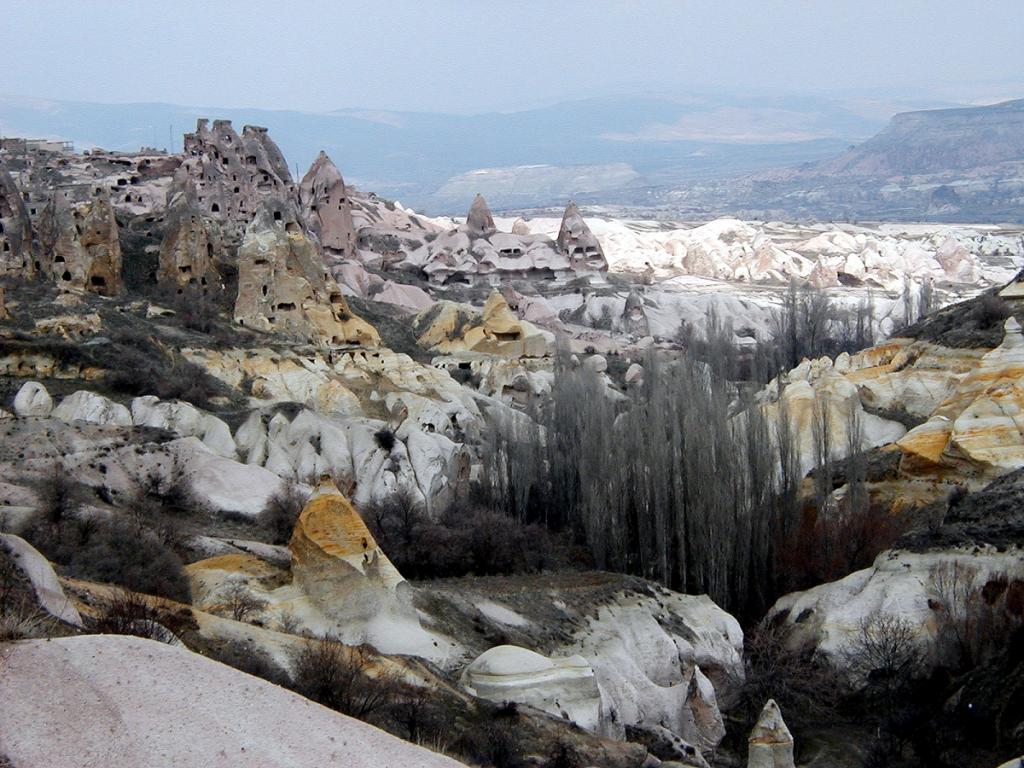 P1010096