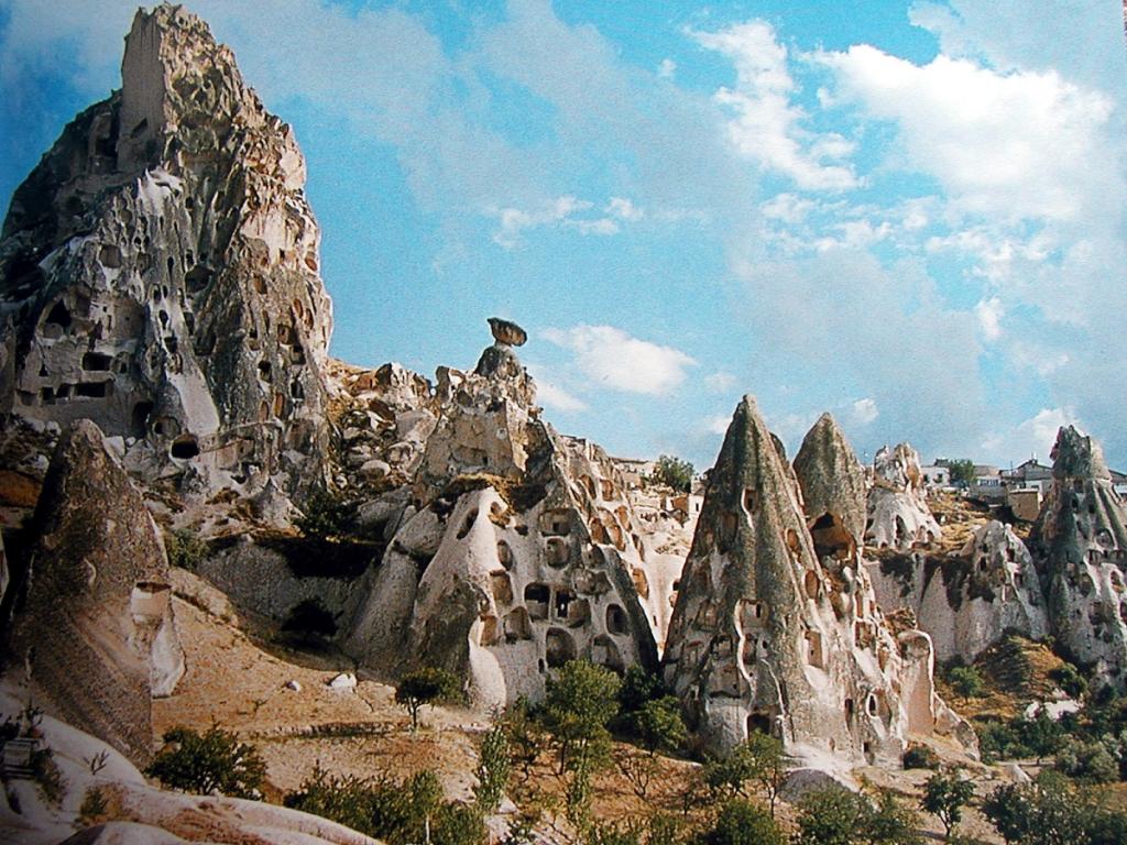 P1010121