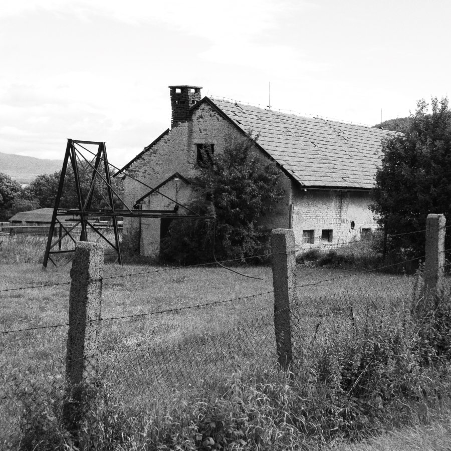 P1010227n.jpg