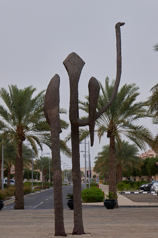P1010295 1