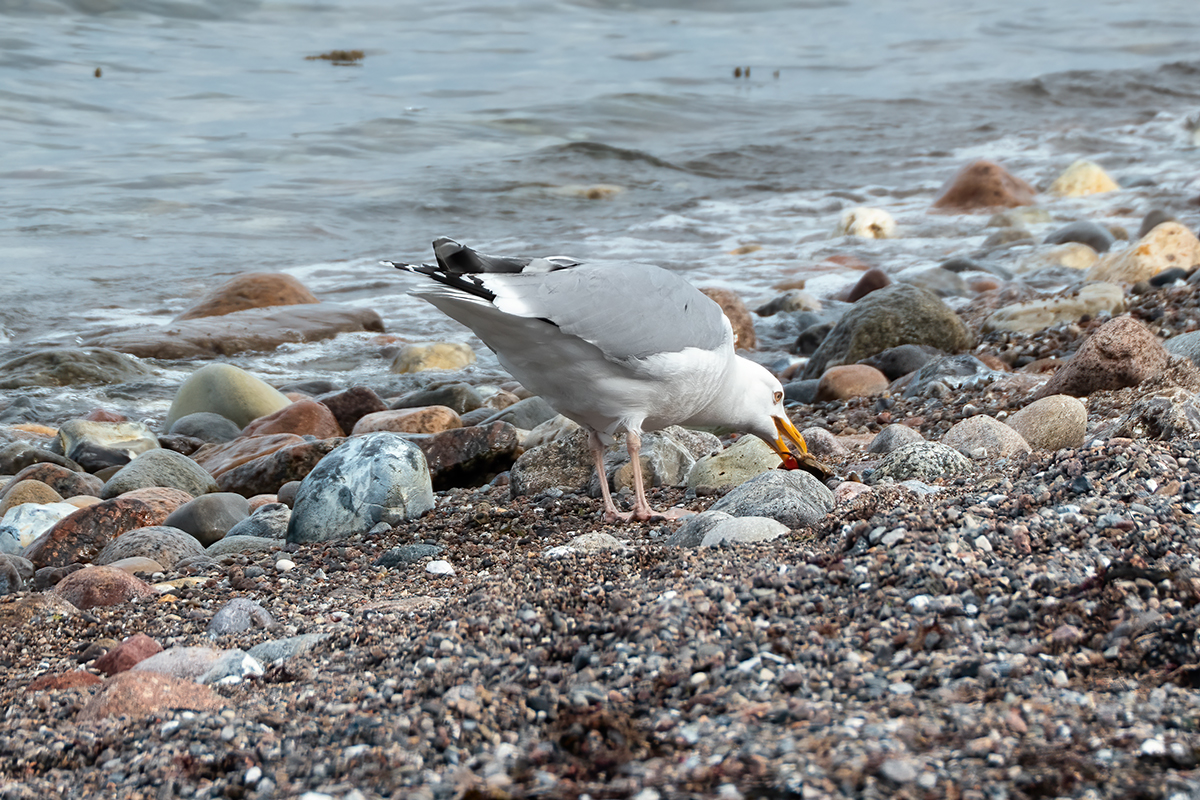 P1010396-Bearbeitet.jpg
