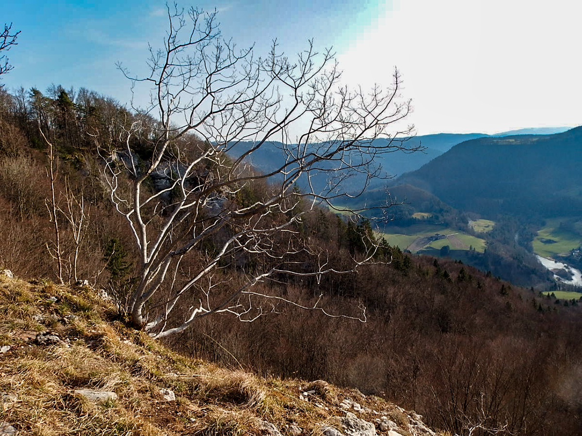 P1010582.jpg