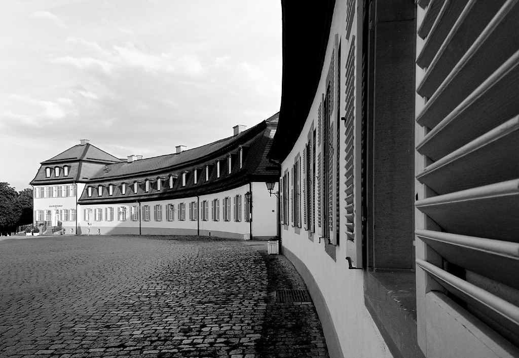 P1010775 sw web