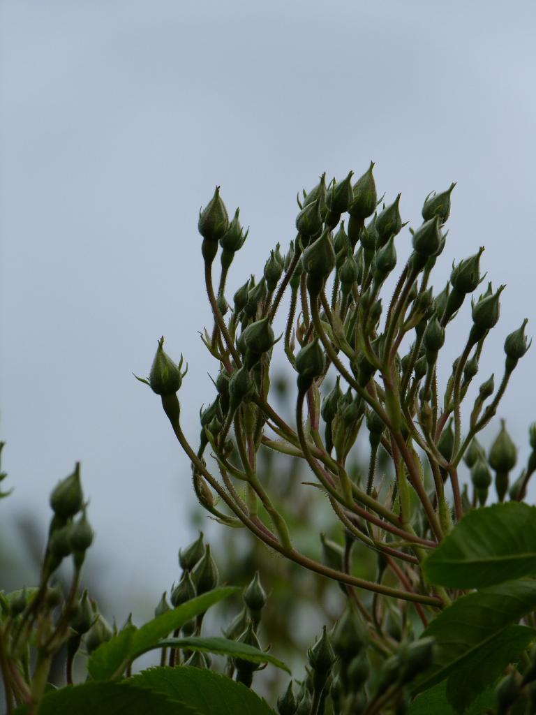 P1010839.1024