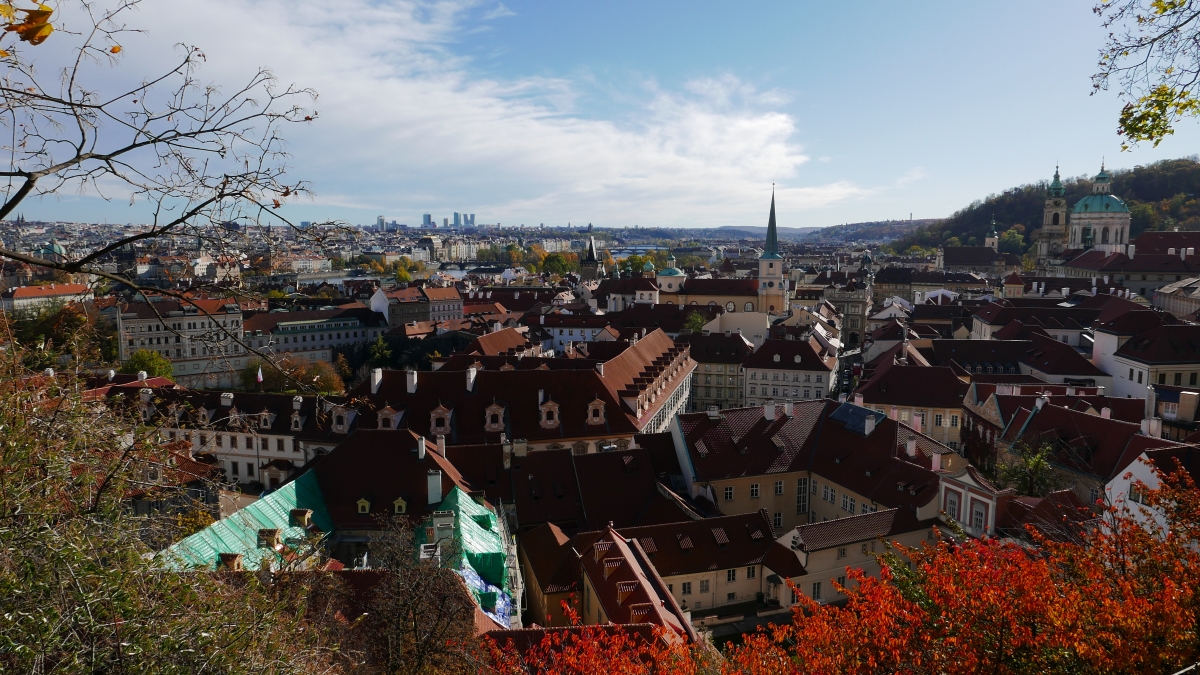 P1030205n.JPG