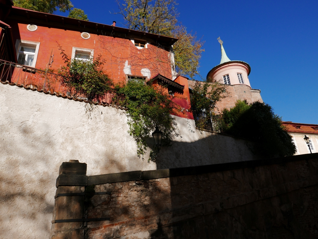 P1030238n.JPG