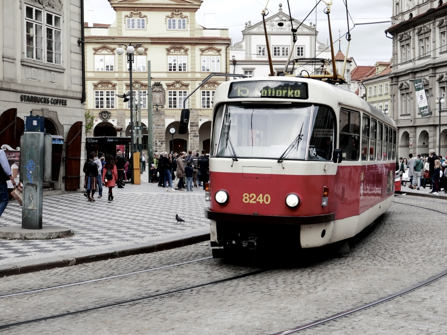P1030273n.JPG