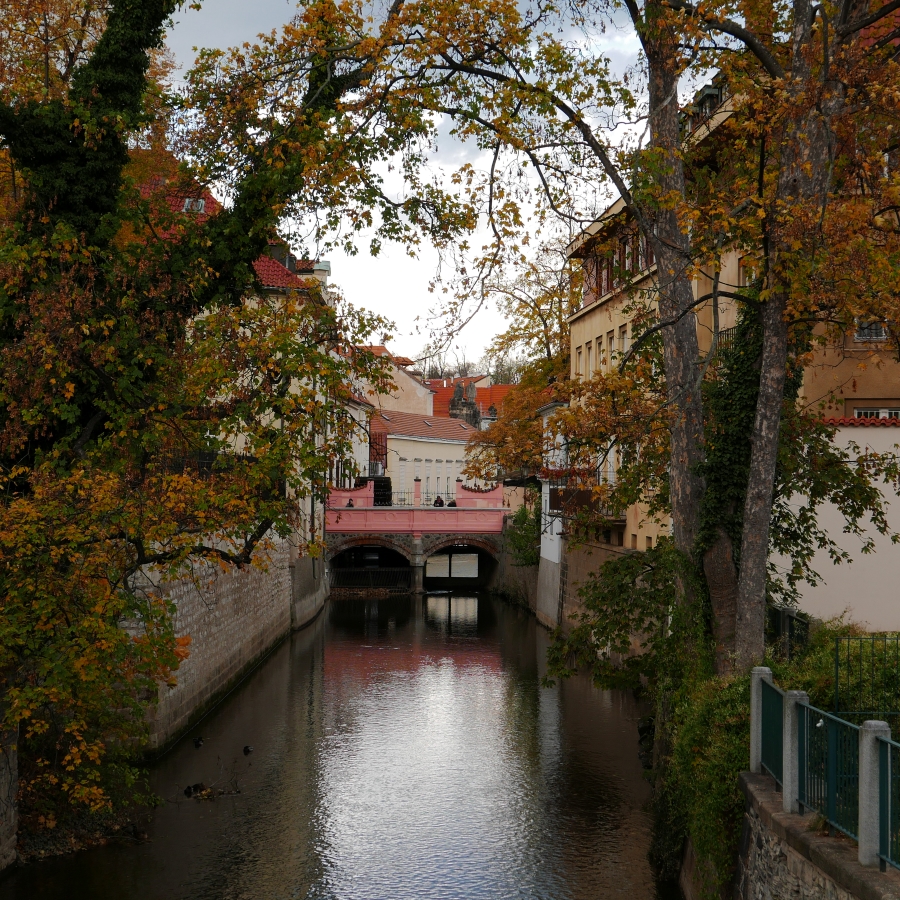P1030294n.JPG