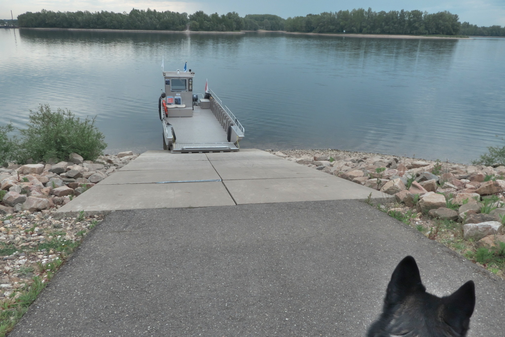 P1030423.jpg