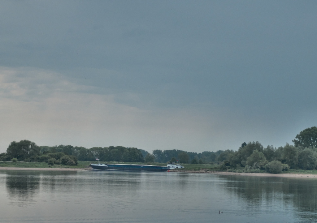 P1030427.jpg