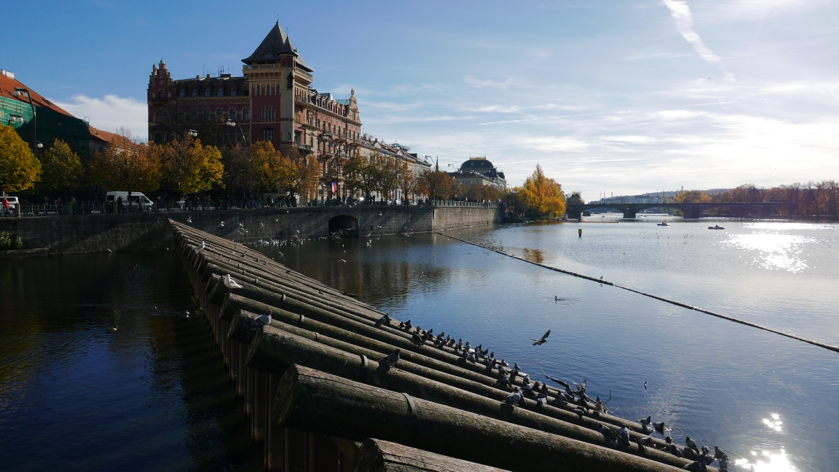 P1030539n.JPG