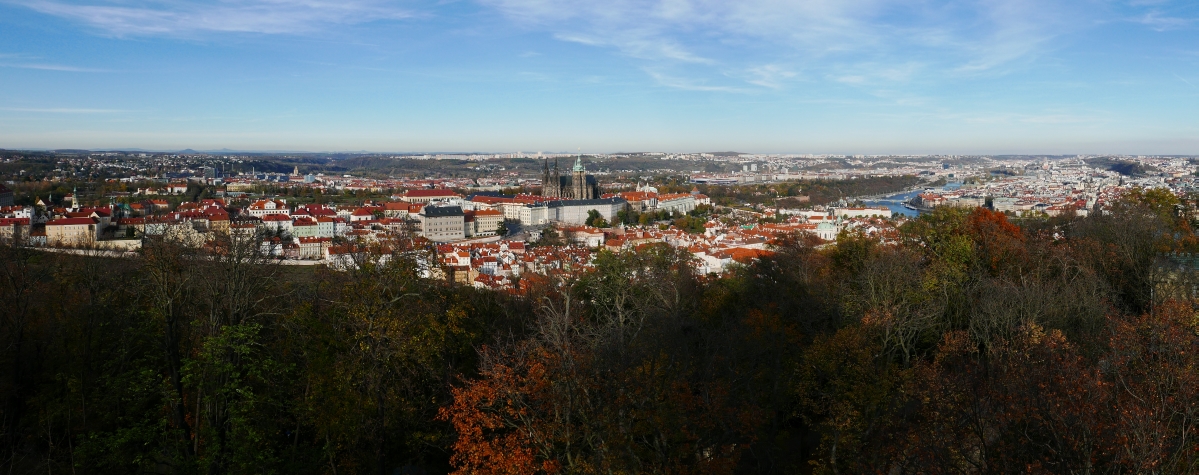 P1030581n.JPG