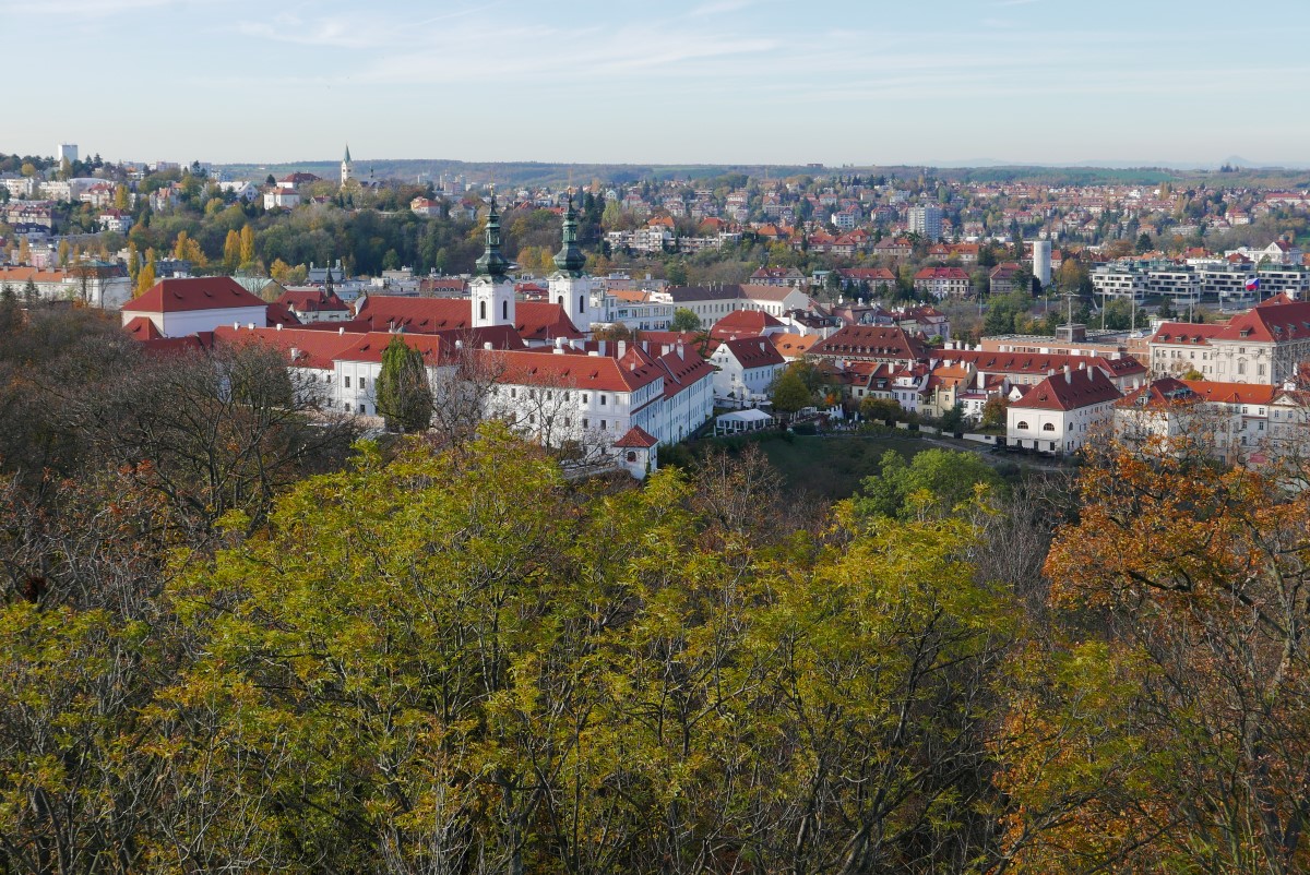 P1030586n.JPG