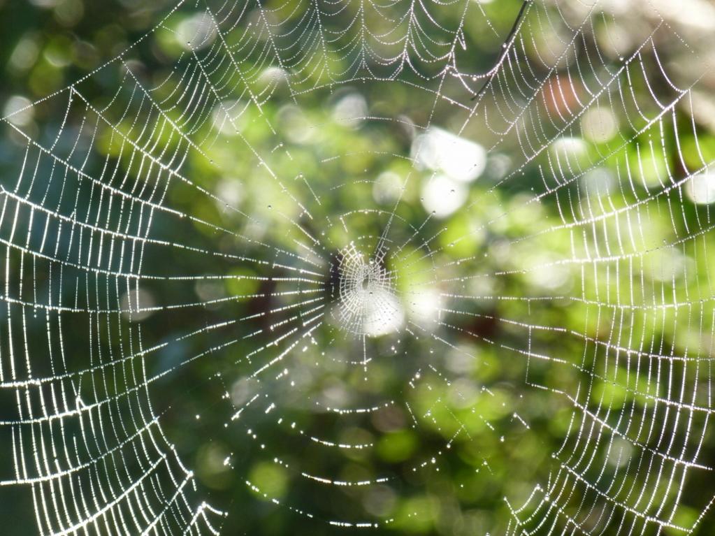 P1030822 (1024x768)