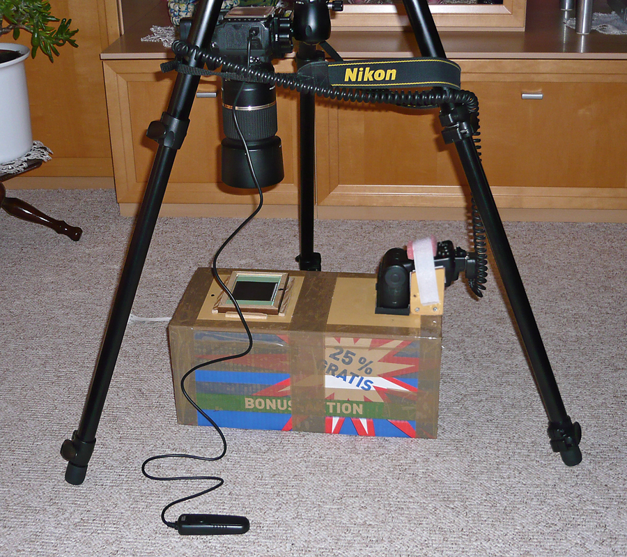 P1040612a.jpg