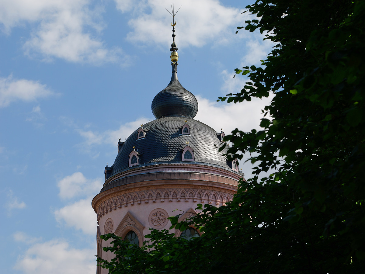 P1050334.jpg