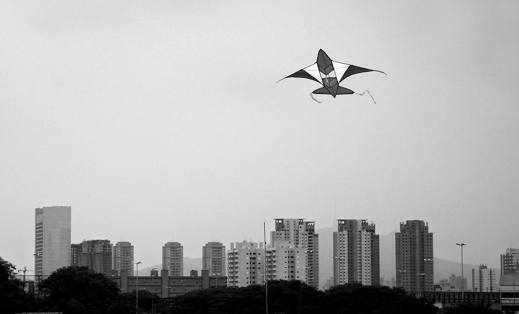 P1050454 sw web