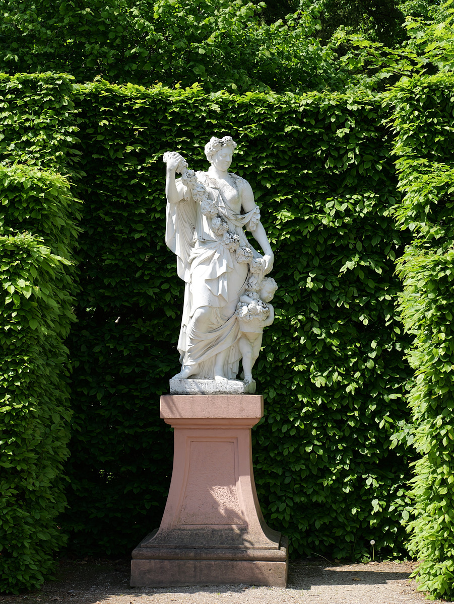 P1050743.jpg