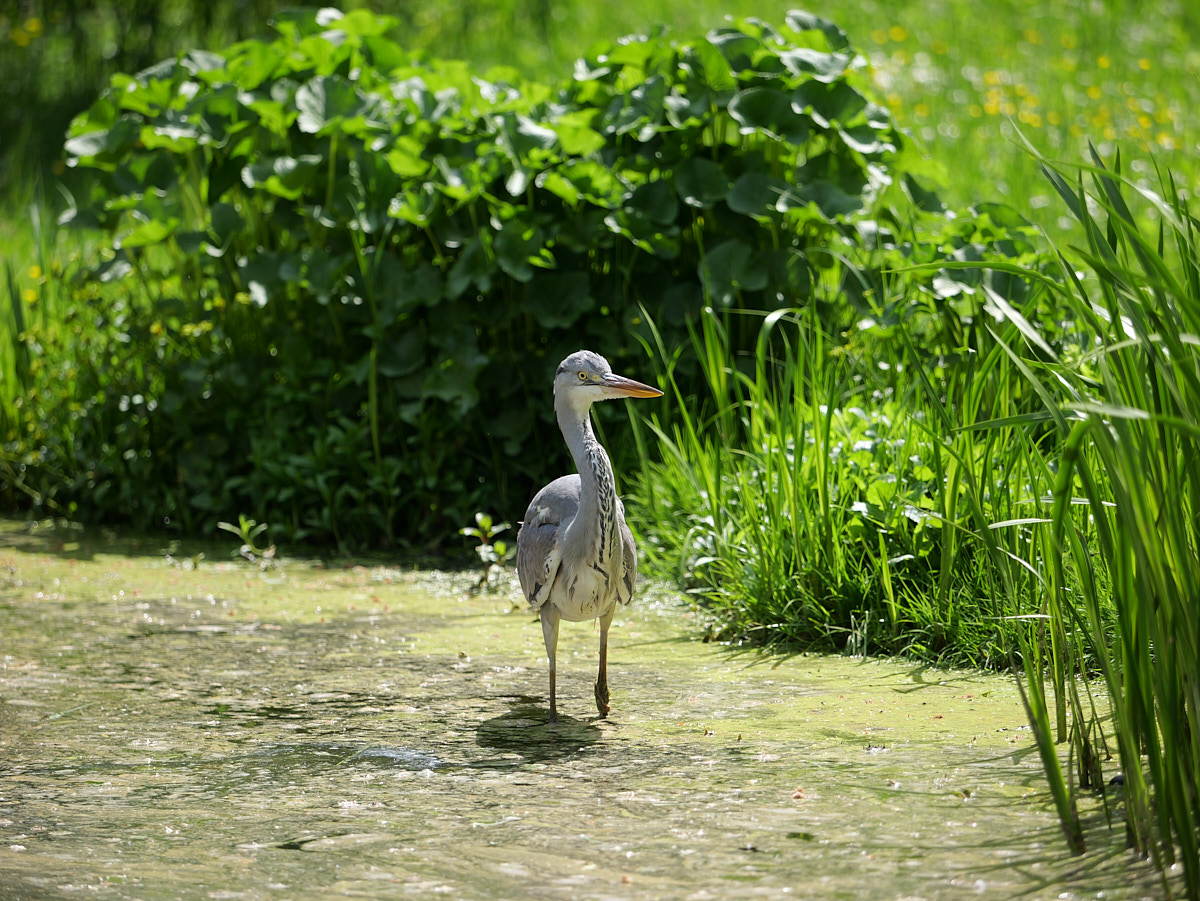 P1051159.jpg