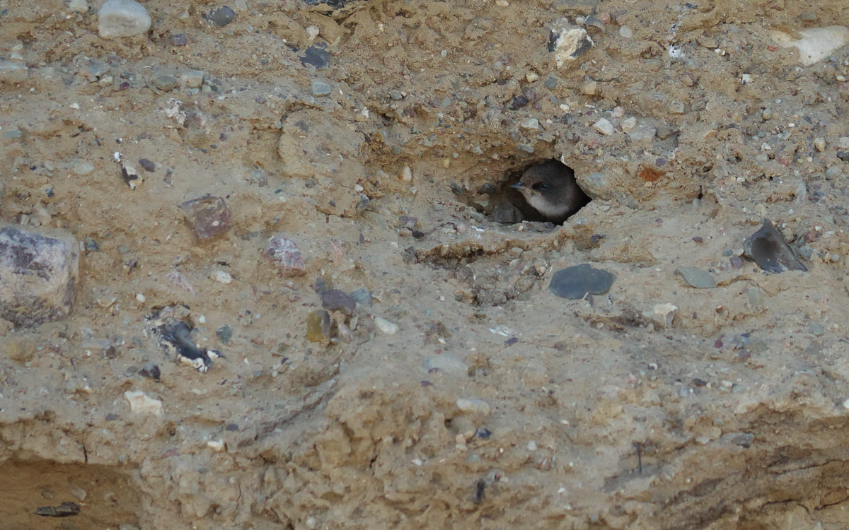 P1053269.jpg