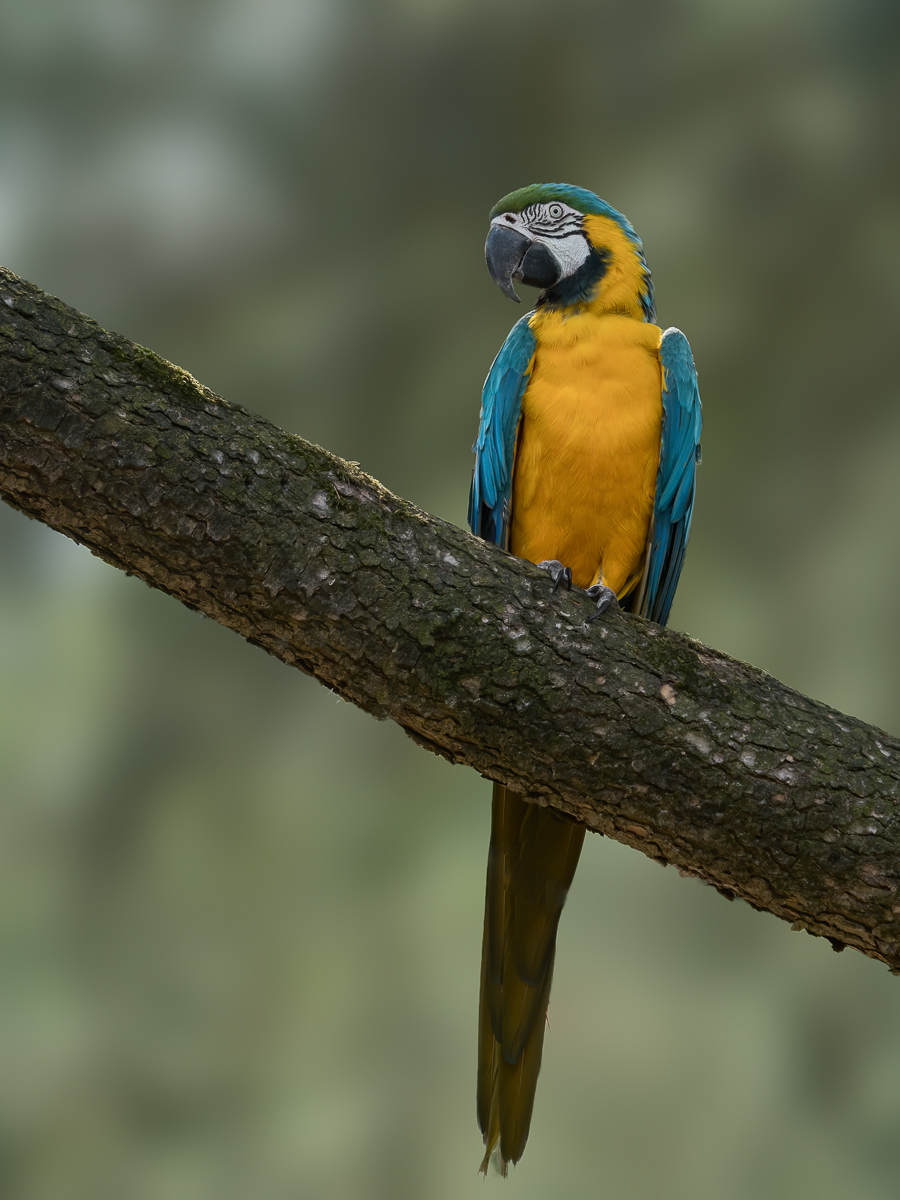 P1054277-3.jpg