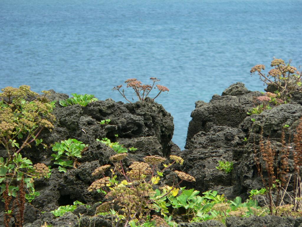 P1060314