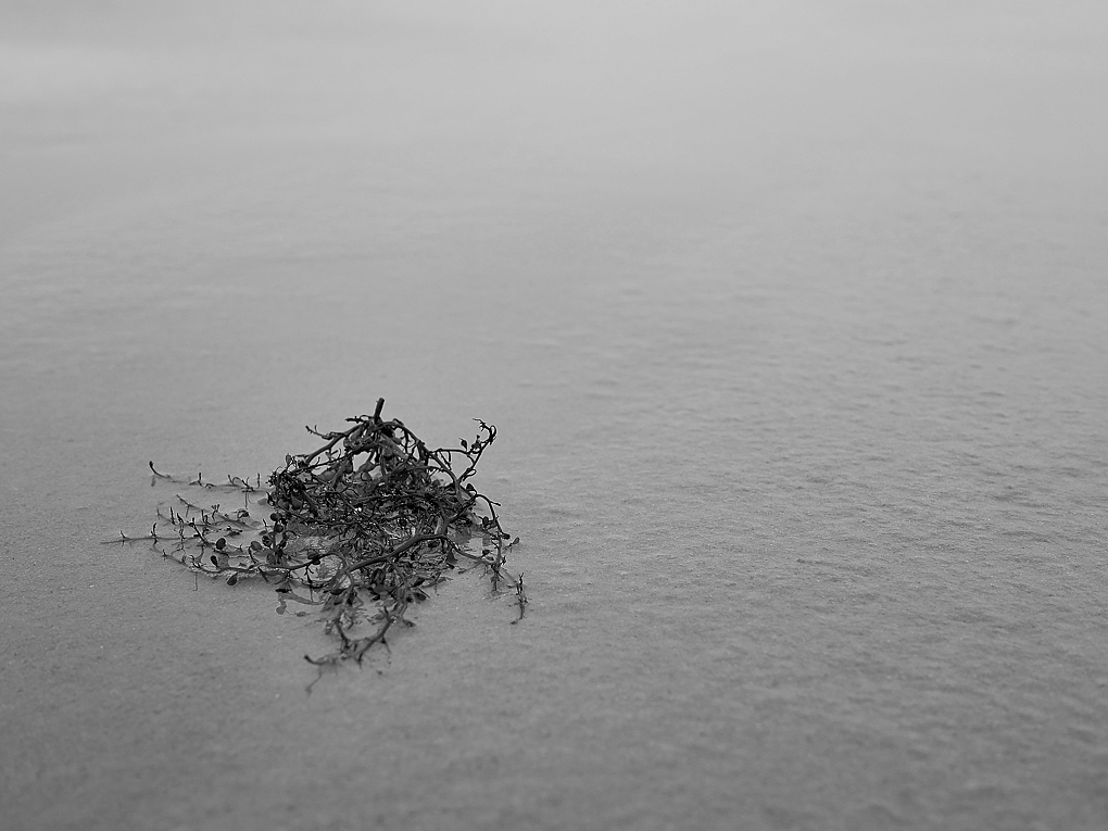 P1070105aswklein