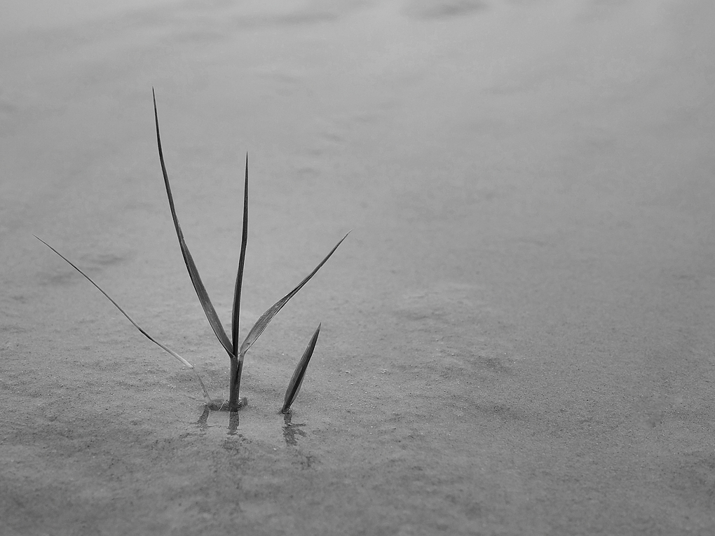 P1070125aswklein