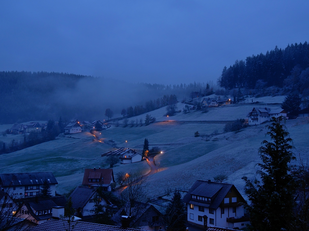 P1070221aklein.jpg