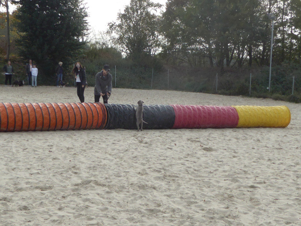 P1070225