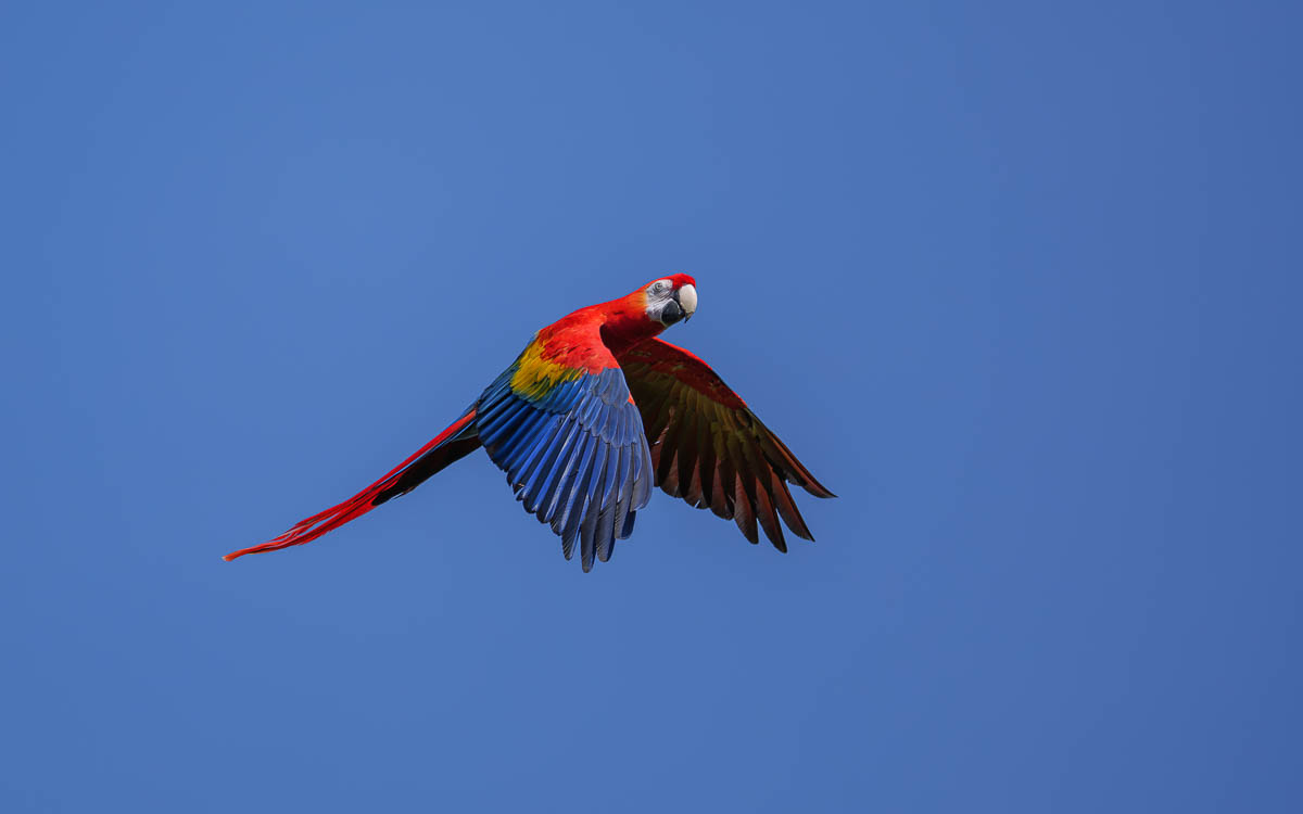 P1153862-2.jpg