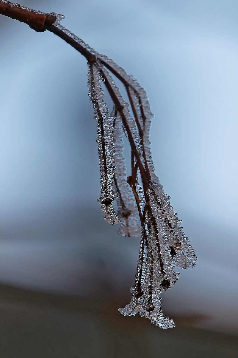 P1181120_DxOHAxl.jpg